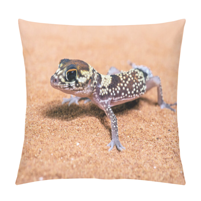 Personality  Australian Barking Gecko (Underwoodisaurus Milii) Pillow Covers