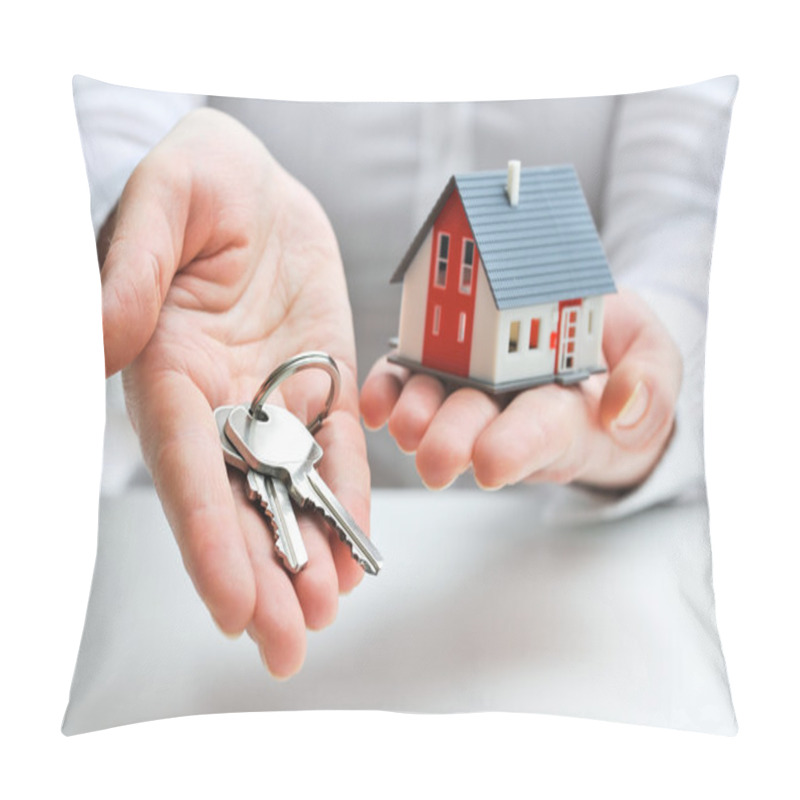 Personality  Agent With House Model And Keys Pillow Covers