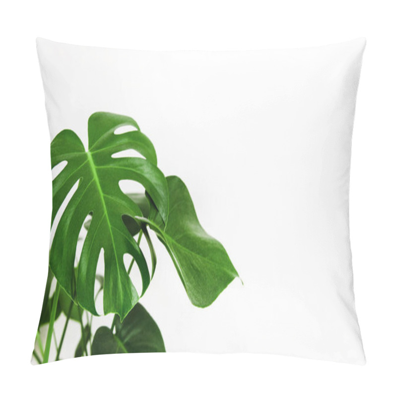 Personality  Monstera Deliciosa Tropical Green Leaves. Leaf Home Plant On White Background. Minimalism, Copy Empty Space. Selective Blurred Focus. Pillow Covers