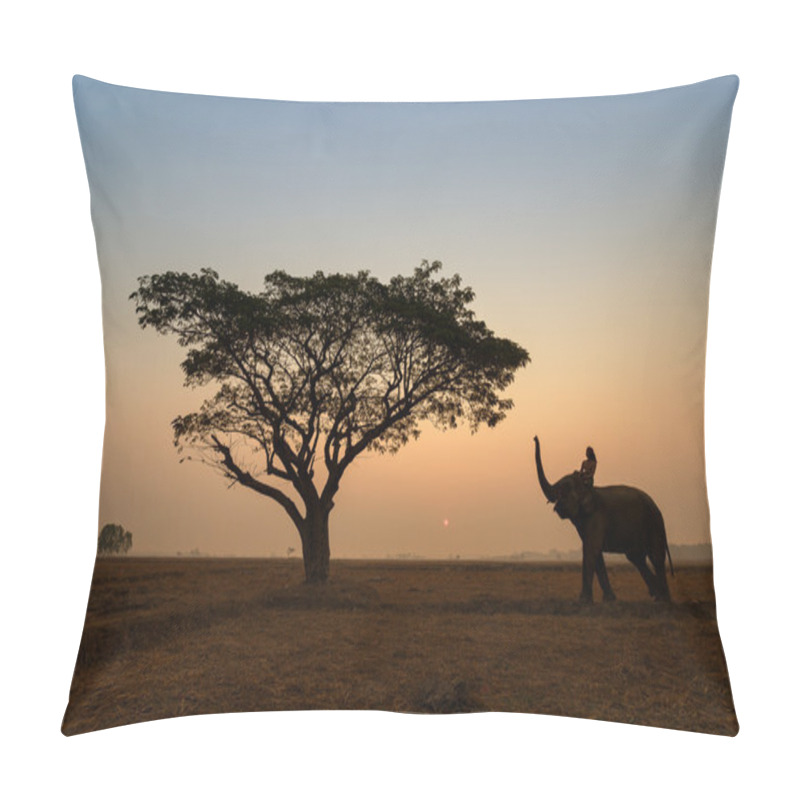 Personality  Beautiful silhouette Elephant with mahout walks at sunset. pillow covers