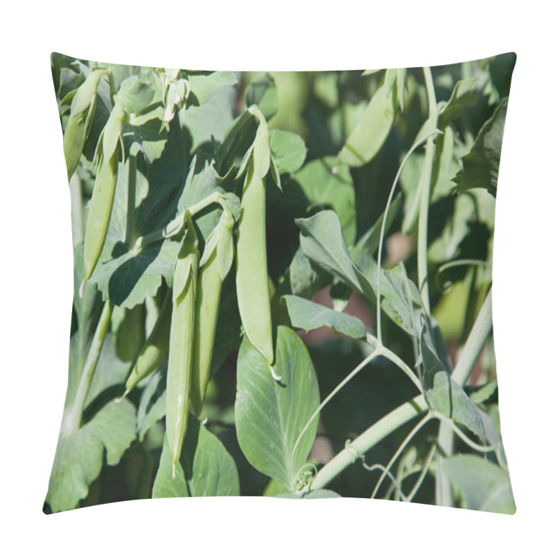 Personality  Pea Pods Pillow Covers