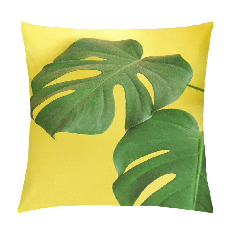 Personality  Monstera Leaves, Close Up Pillow Covers