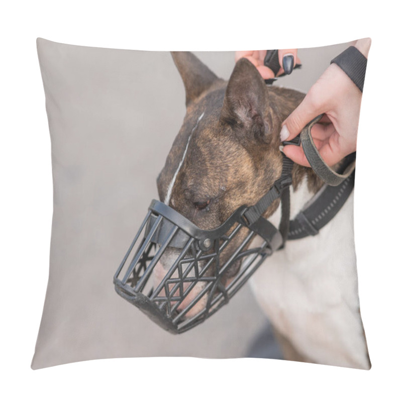 Personality  The Owner Puts A Muzzle On A Bull Terrier Dog On A Walk Outdoors Pillow Covers