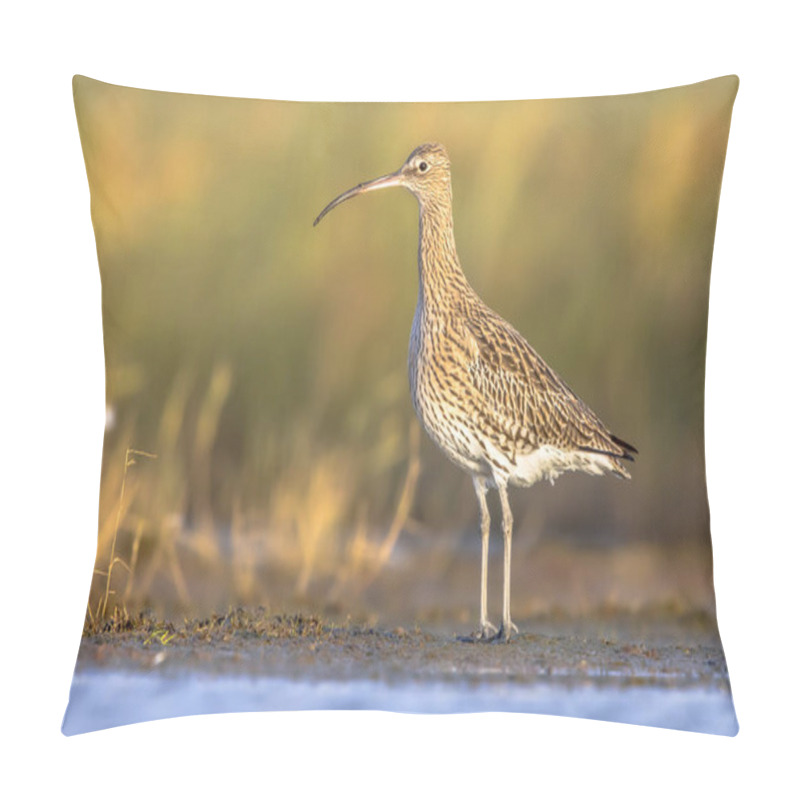 Personality  Eurasian Curlew Or Common Curlew (Numenius Arquata) Stilt Bird Wading Is Shallow Water Of Waddensea.Wader Bird Wildlife In Nature Scene. Netherlands Pillow Covers