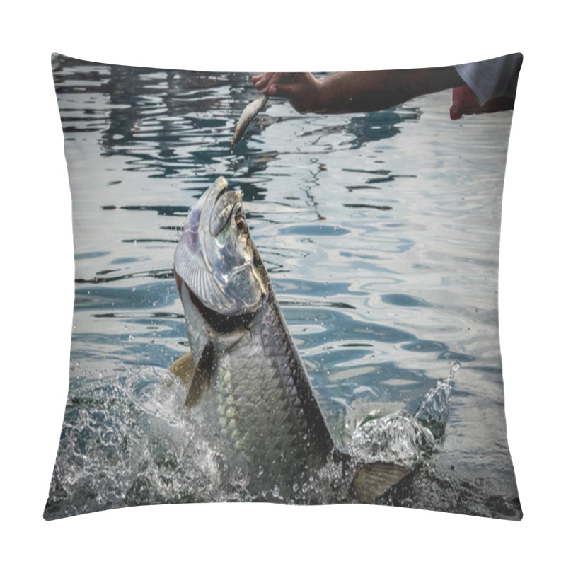 Personality  Tarpon Fish Jumping Out Of Water - Caye Caulker, Belize Pillow Covers