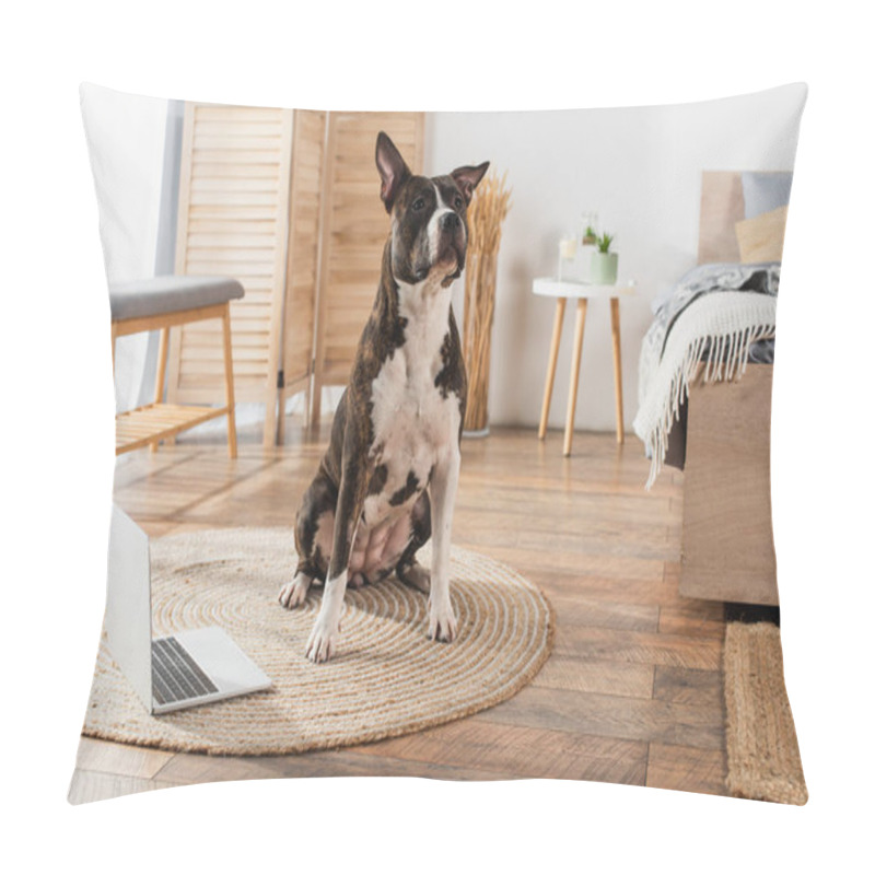 Personality  American Staffordshire Terrier Sitting On Round Rattan Carpet At Home Pillow Covers