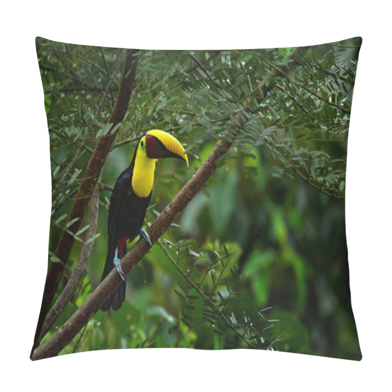 Personality  Toucan Sitting On Branch  Pillow Covers