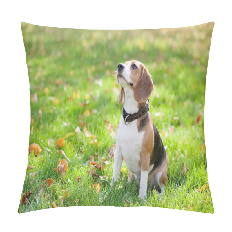 Personality  Beagle In Green Grass Pillow Covers