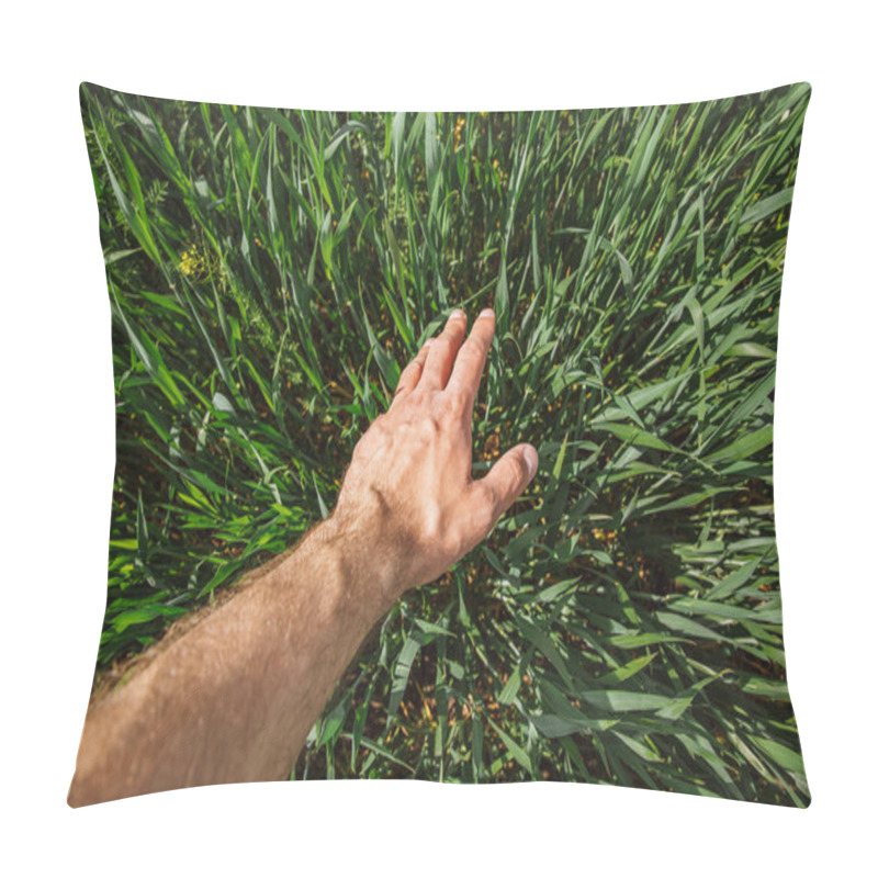 Personality  Farmer Holds His Hand Through The Green Grass Pillow Covers