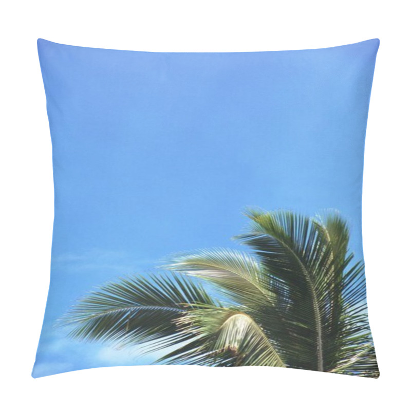 Personality  Tranquil Coastal Landscape With Azure Sky And Majestic Palm Trees Pillow Covers