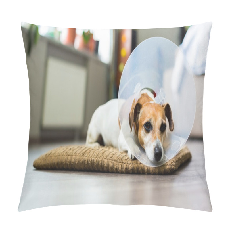 Personality  Sleepy Dog Jack Russell Terrier  With Vet Elizabethan Collar Pillow Covers