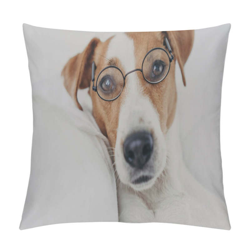 Personality  Close Up Shot Of Brown And White Dog Stays In Bed, Wears Transparent Round Glasses And Looks Directly At Camera. Jack Russel Terrier In Eyewear. Intelligent Pet In Bedroom At Home. Animals Concept Pillow Covers