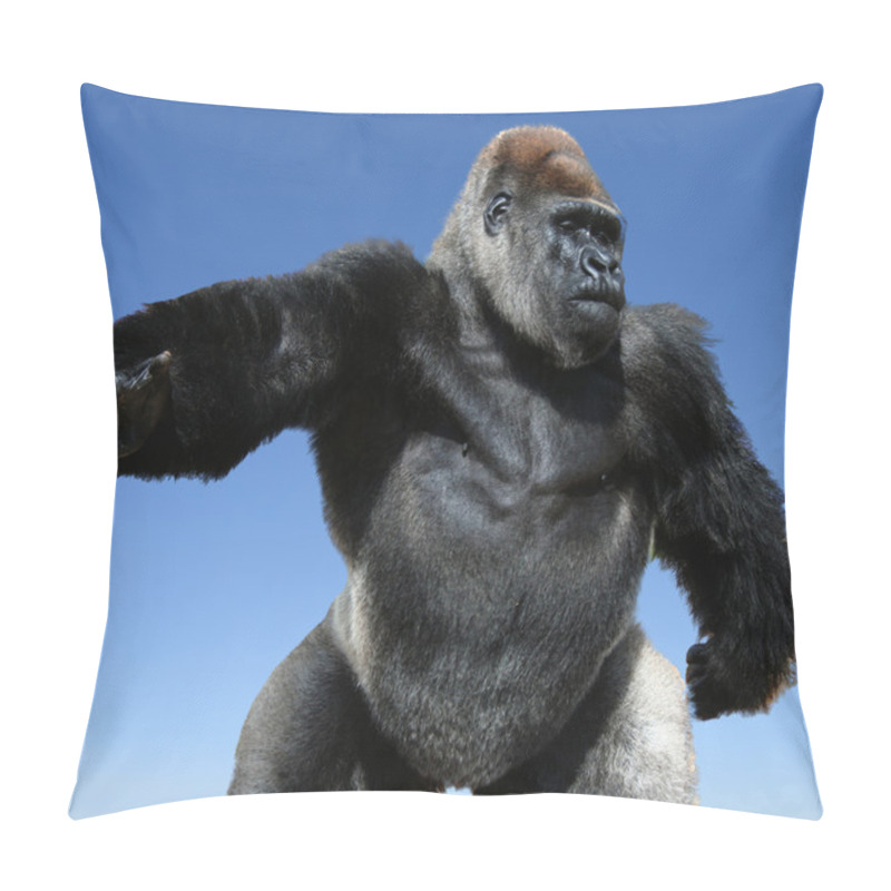 Personality  Gorilla Pillow Covers