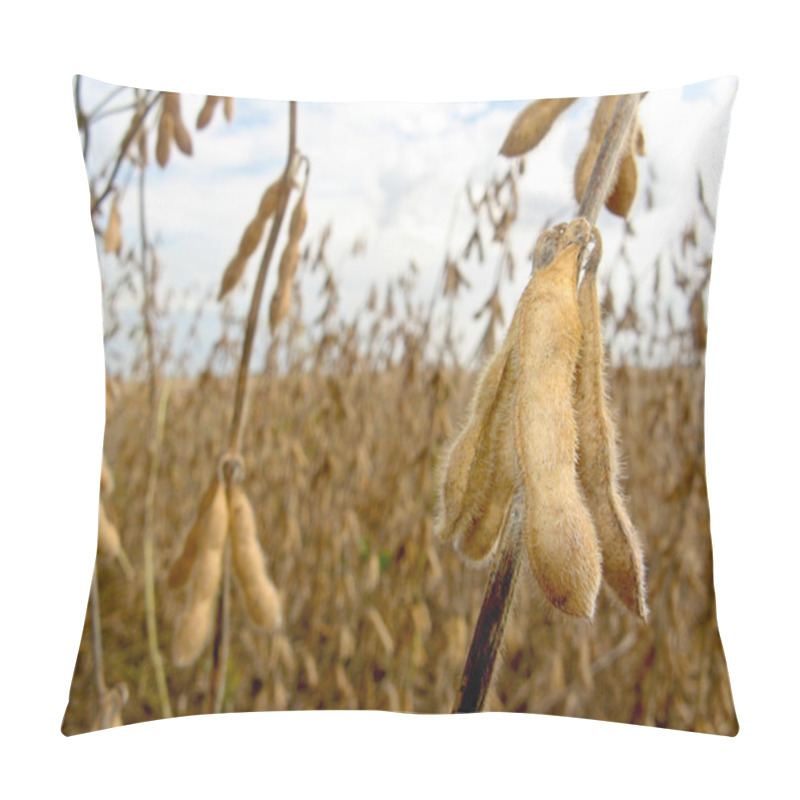 Personality  Soy Bean Field Pillow Covers