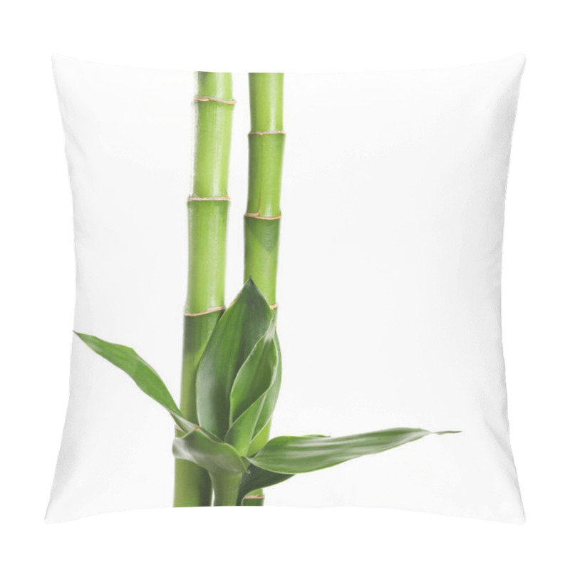 Personality  Green Bamboo Stems With Leaves On White Background Pillow Covers