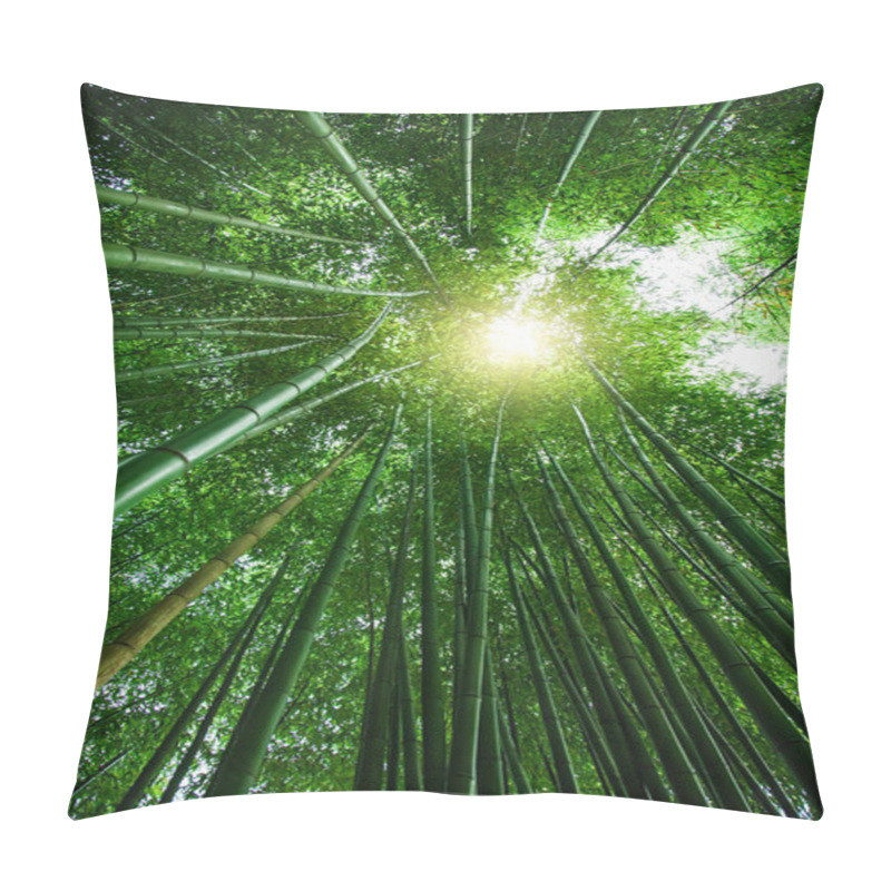 Personality  Bamboo Grove In Asia. Green Natural Background. View Top Of Bamboo Trees And Sun Pillow Covers