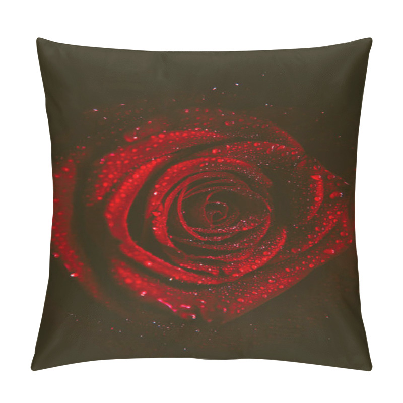 Personality  Top View And Close-up, Blooming Beautiful Rose Flower. The Concept Of Valentine's Day. Art Of Rose Pillow Covers