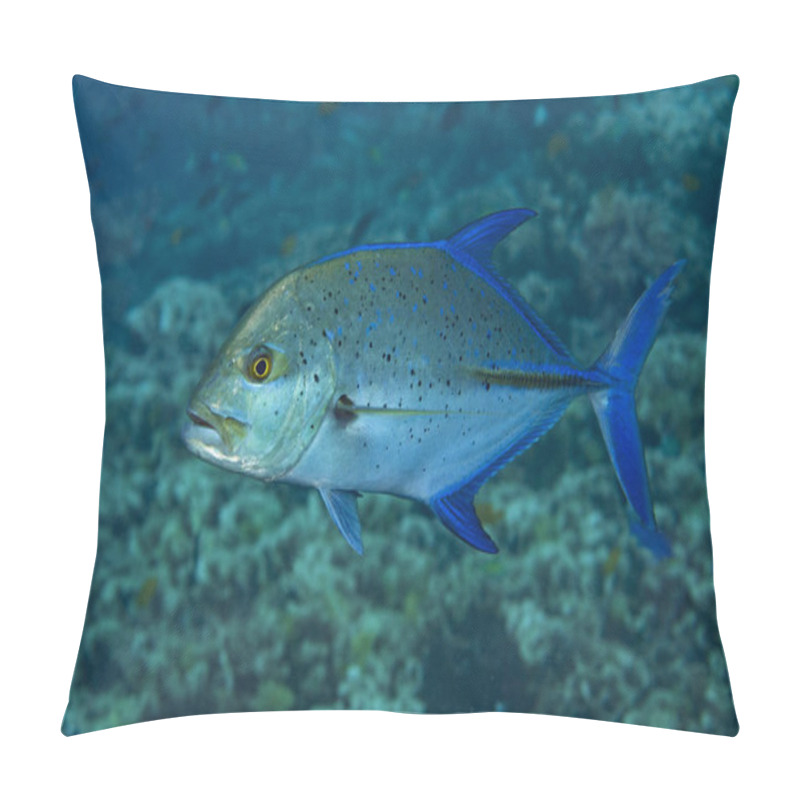 Personality  Bluefin Trevally, Caranx Melampygus  Pillow Covers