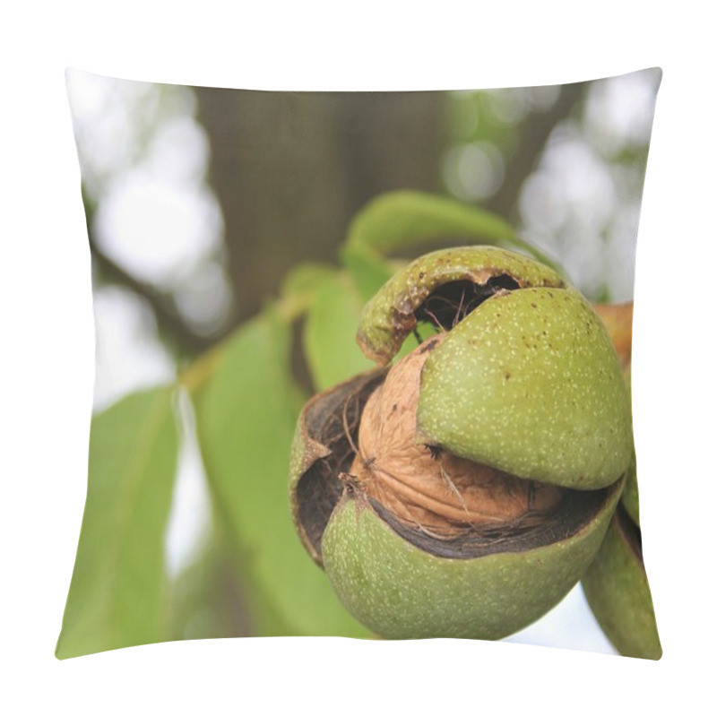 Personality  Ripe Walnut Pillow Covers