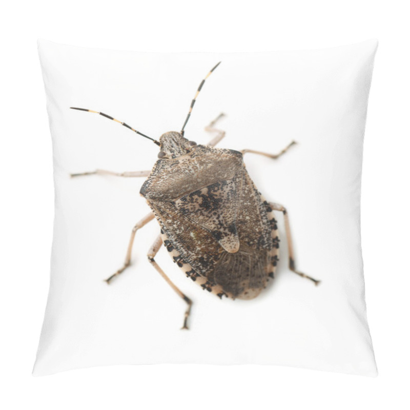 Personality  Mottled Shield Bug Pillow Covers