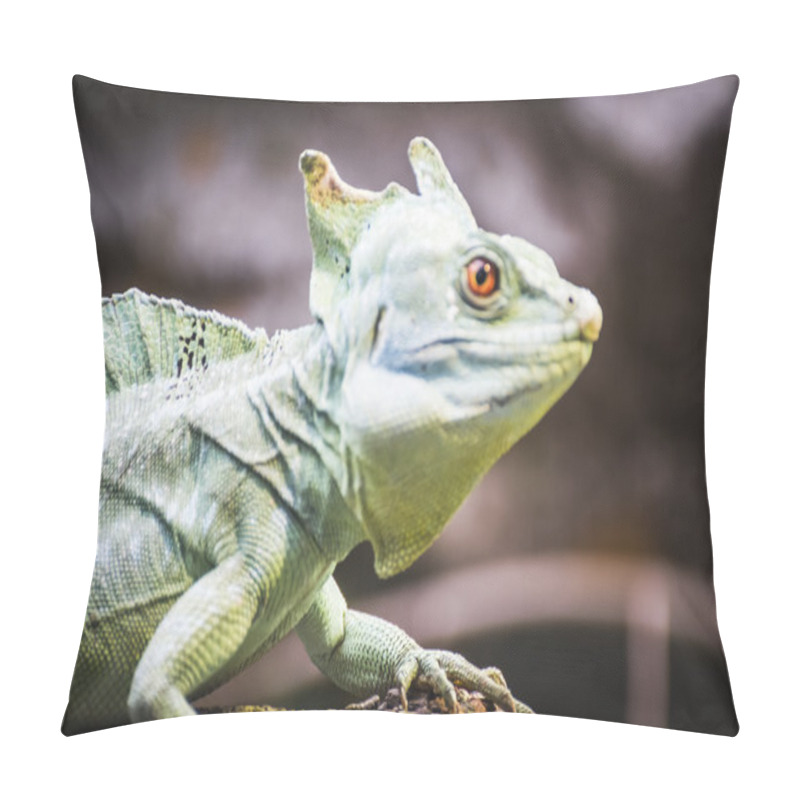 Personality  Lizard Resting In The Sun Pillow Covers