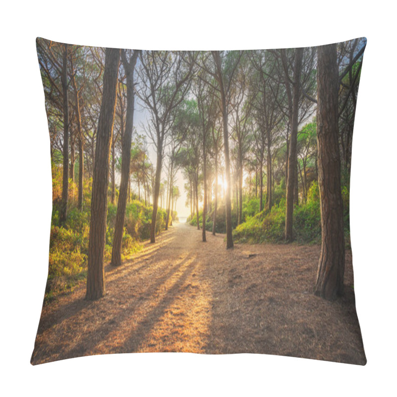 Personality  Path In Pinewood Forest And Sea At Sunset, Tombolo Di Marina Di Cecina, Maremma, Tuscany, Italy Europe. Pillow Covers