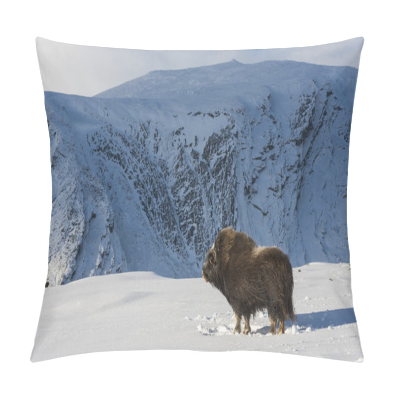 Personality  Muskox And Mountain Pillow Covers