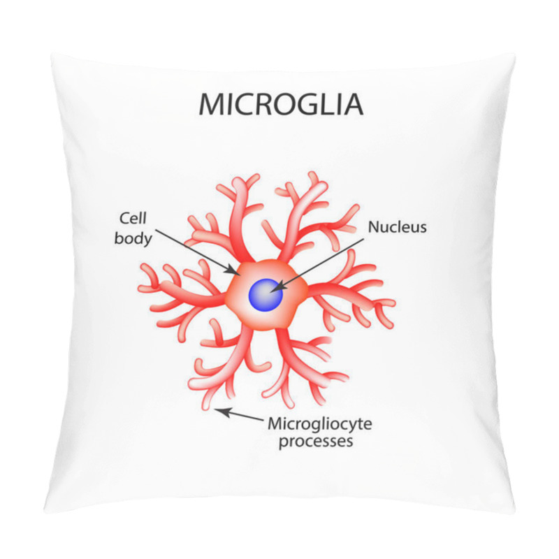 Personality  The Structure Of Microglia. Neuron. Nerve Cell. Infographics. Vector Illustration On Isolated Background. Pillow Covers