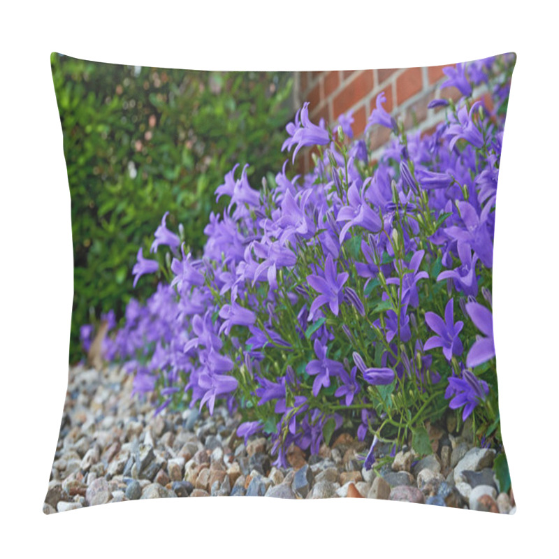 Personality  Garden, Nature And Landscaping Of Flowers By Home For Eco Friendly Design, Blooming Season Or Sustainability. Bellflower, Backyard Or Floral Plants For Springtime Or Colorful Flowerbed In Environment. Pillow Covers