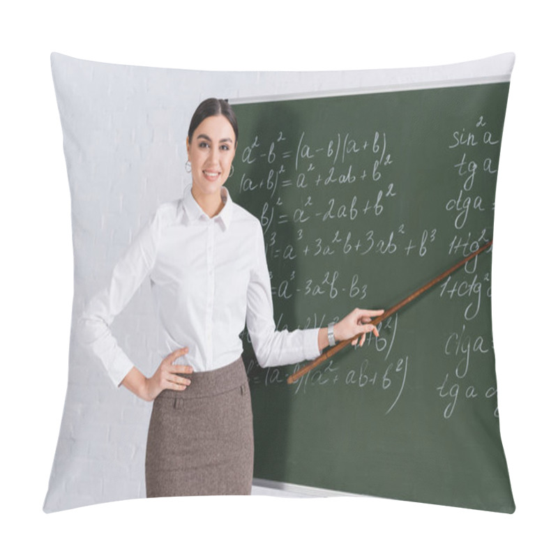 Personality  Smiling Teacher With Pointer Standing Near Chalkboard  Pillow Covers