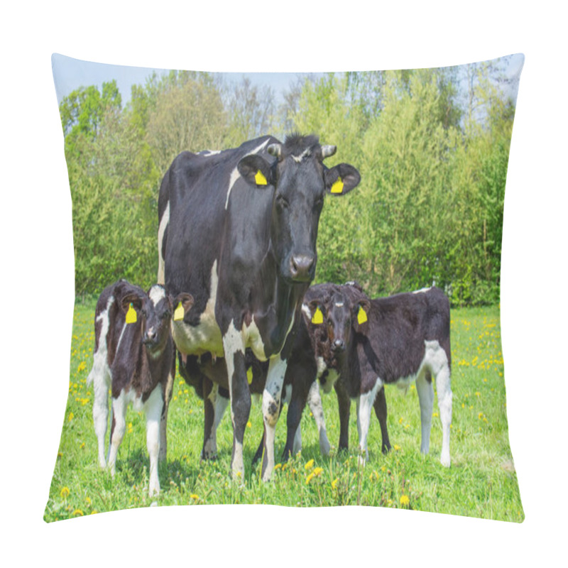 Personality  Family Mother Cow With Calves In Dutch Meadow Pillow Covers