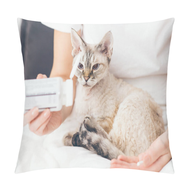 Personality  Close Up Photo Of Woman Hands Giving Safely Oral Medication - Capsule Pill To A Cat With Special Needs. Pillow Covers