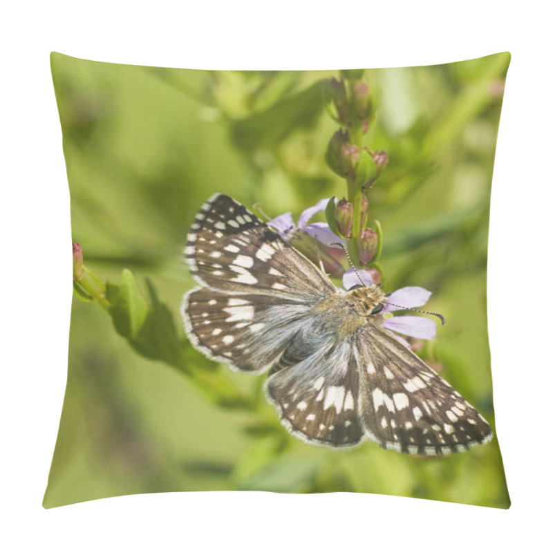 Personality  Macro Of A Checkered Skipper, Pyrgus Spp., On Winged Loosestrife Flower. Vertical Pillow Covers