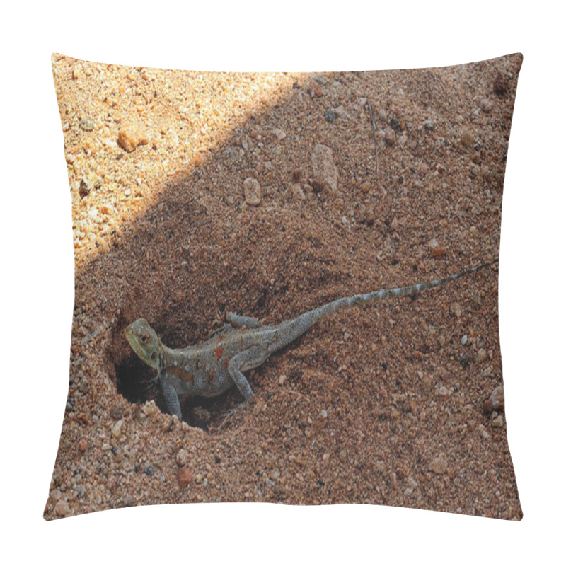 Personality  A Picture Of A Lizard In The Wild Pillow Covers