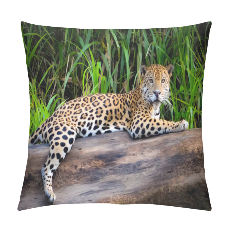 Personality  Jaguar In The Peruvian Amazon Pillow Covers