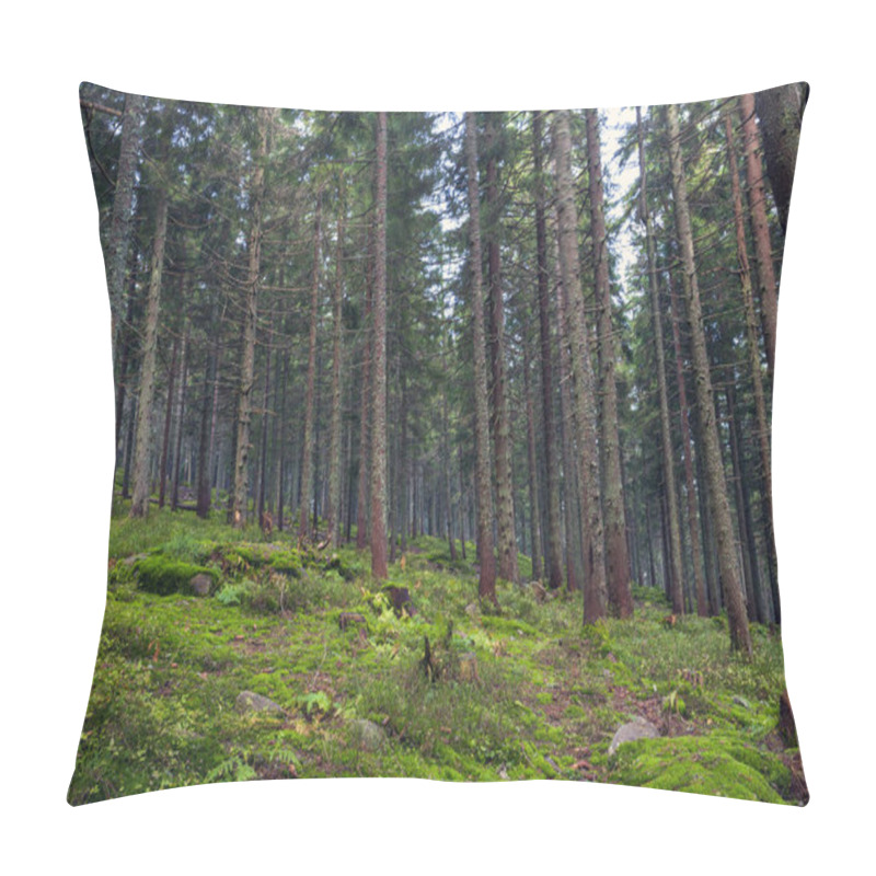 Personality  Sunlight In The Green Forest, Spring Time Pillow Covers