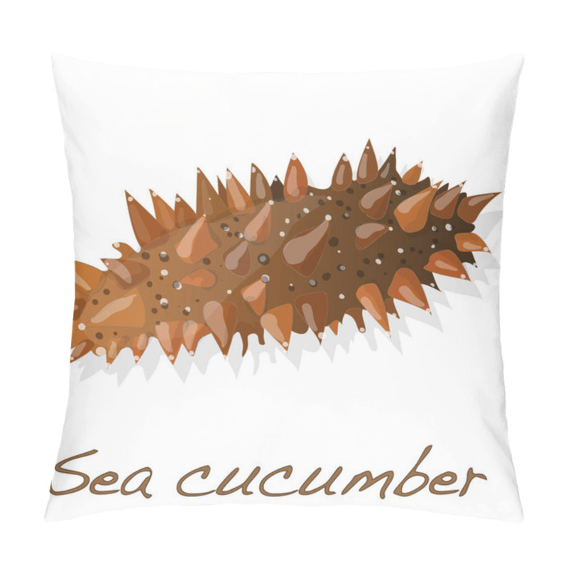 Personality  Sea Cucumber   Illustration Isolated On White.  Pillow Covers