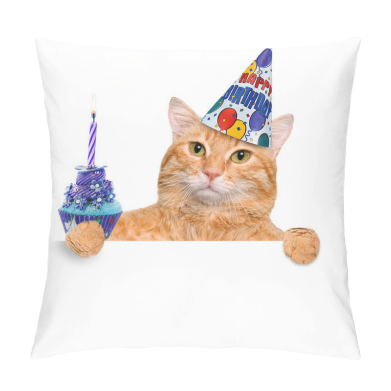 Personality  Birthday Cat . Pillow Covers