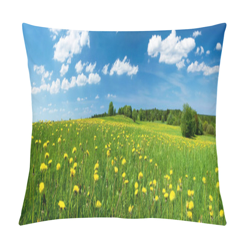 Personality  Field With Dandelions And Blue Sky Pillow Covers