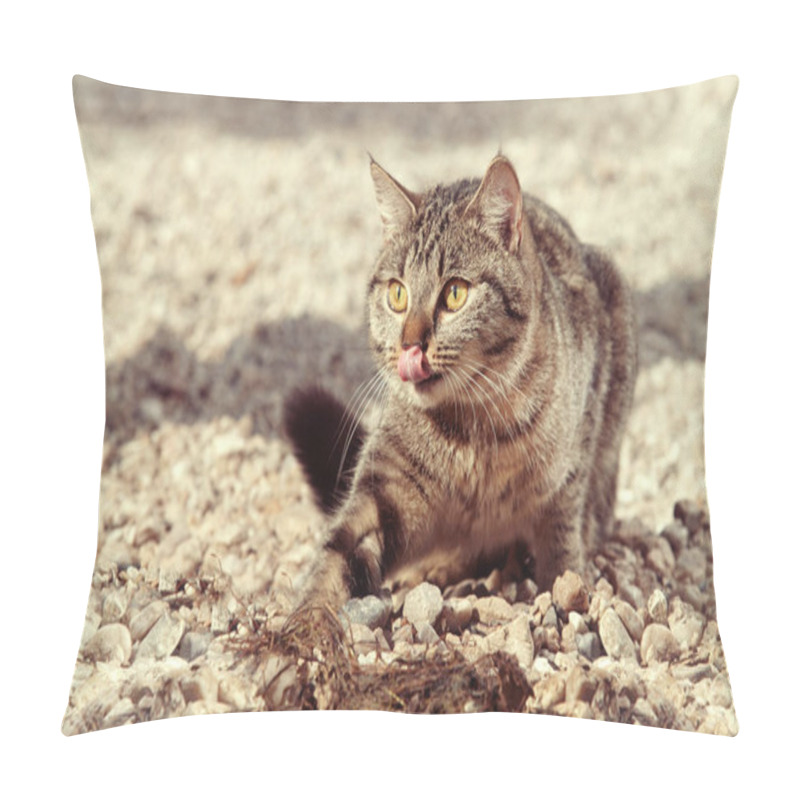 Personality  Hunting Cat On Lake Shore Near Water Pillow Covers