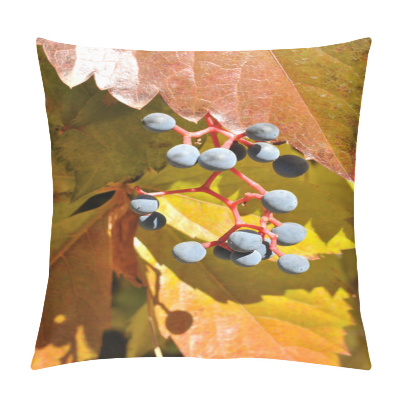 Personality  The Wild Vine In The Autumn Pillow Covers