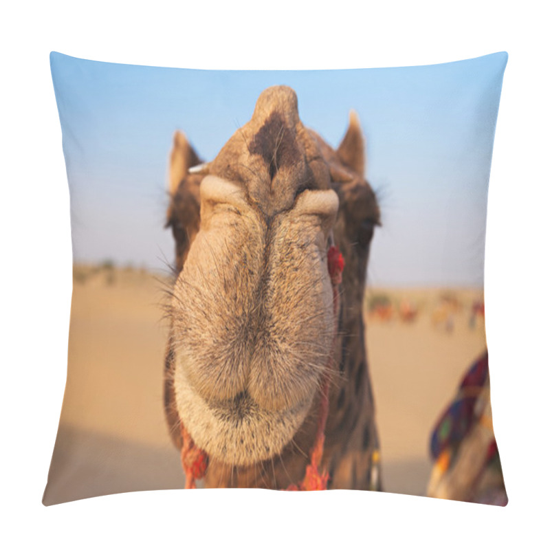 Personality  Camels In Desert Pillow Covers