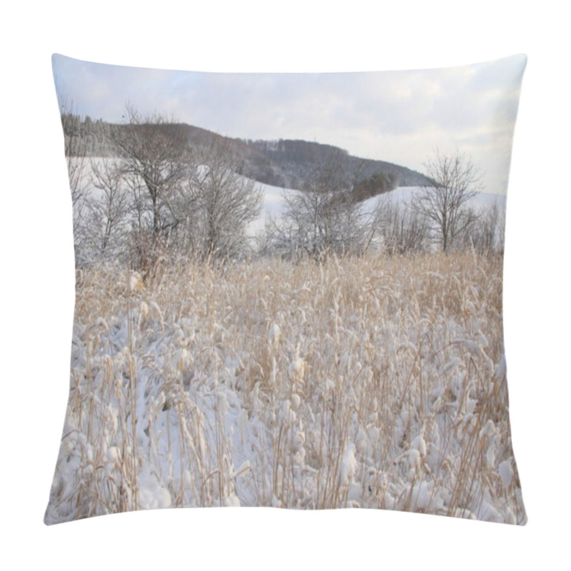 Personality  Snow-covered Ukrainian Fields And Gardens. Backgrounds Of Winter Nature For Phones And Tablets. Seasons Of The Year. Pillow Covers