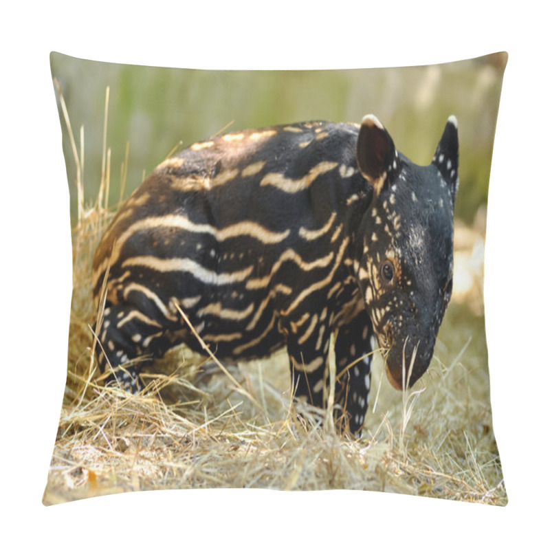 Personality  Baby Tapir Pillow Covers