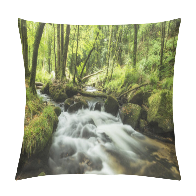 Personality  Beautiful Landscape Of River Flowing Through Lush Forest Golitha Pillow Covers