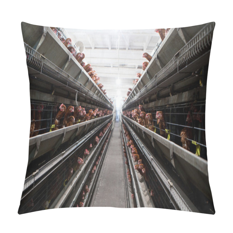 Personality  Chicken Farm Pillow Covers