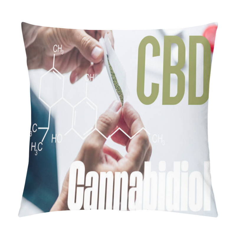 Personality  Cropped View Of Man Holding Blunt Of Medical Cannabis With Cbd Molecule Illustration Pillow Covers