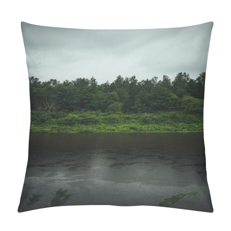 Personality  Moody Forest With Wide River Gauja In Latvia. Rain In Fores Pillow Covers