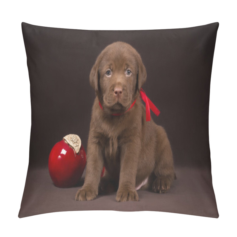 Personality  Chocolate Labrador Puppy Sitting On A Brown Background Near Red Apples And Looking  To  The Camera Pillow Covers