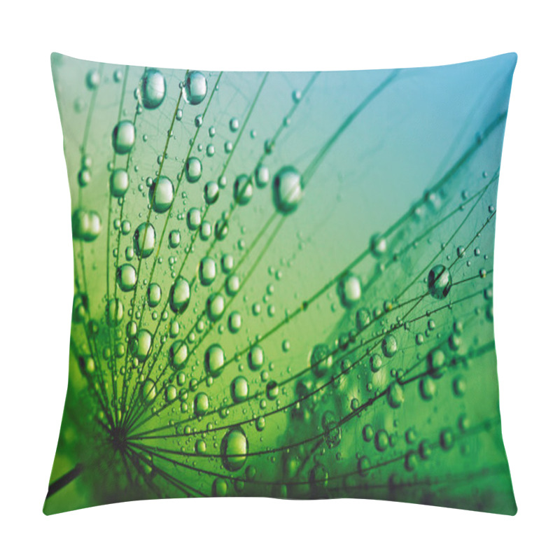 Personality  Seeds With Drops Pillow Covers